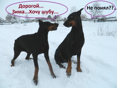 к сжат.JPG