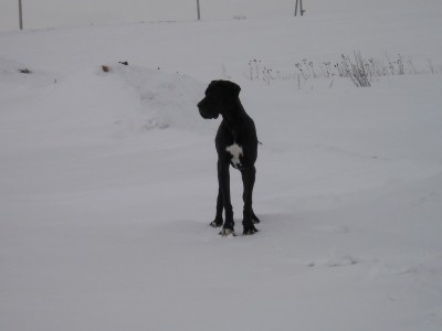 DSCN1106.JPG