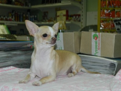 DSCN8805.JPG