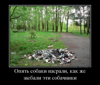 6gZkiEopi5Y.jpg
