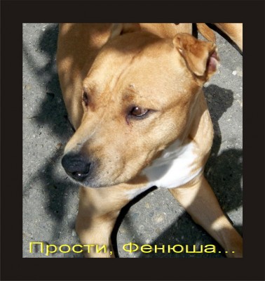 феня.jpg