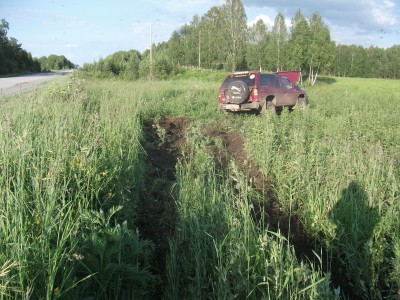 поле2.jpg