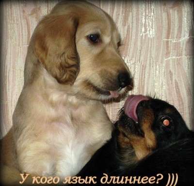 P1010009.JPG
