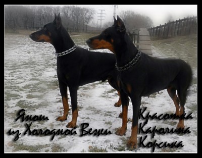 Линочка и Яшка док.jpg