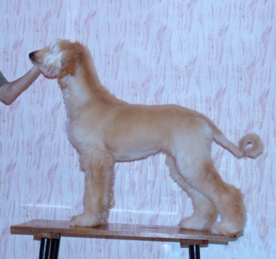 DSCN3548.JPG