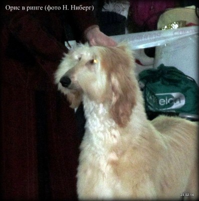 рррр 025.jpg