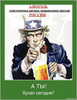 для Морда.jpg