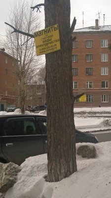 WP_20150310_12_11_45_Pro.jpg