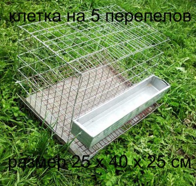 клетка-на-5-перепелов.jpg