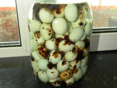 яйца перепелиные маринованые в свекле2.JPG