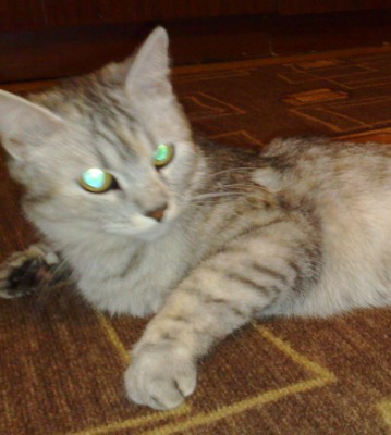 03042010129.JPG