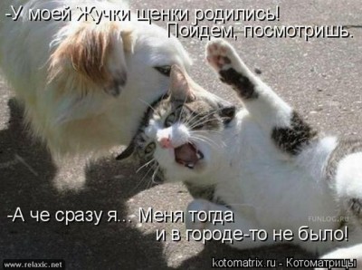 0a2dc93544fd18b0b7ab58faf140ed9f.jpeg