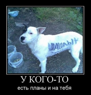 1298344713_099.jpg