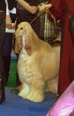 IMG_7310.JPG