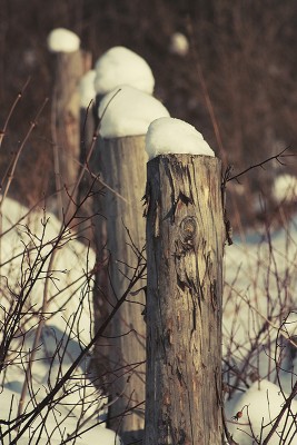 _MG_8688.jpg
