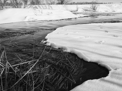 _MG_9418.jpg