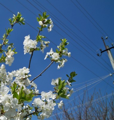100_0091.jpg