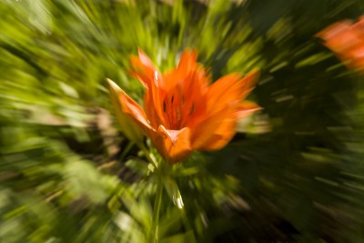 _MG_4399a.jpg