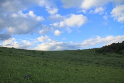 Юлия 174.jpg