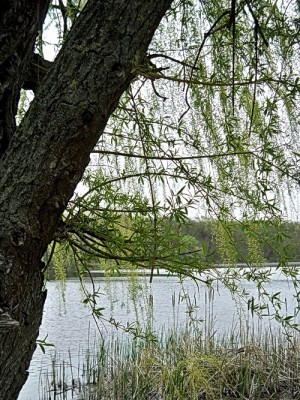 фото 003.jpg