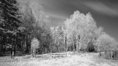 IR_14_05_2011_05.jpg