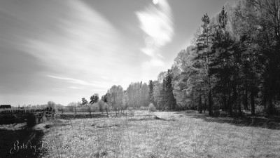 IR_14_05_2011_08.jpg