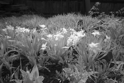 IR_14_05_2011_09.jpg