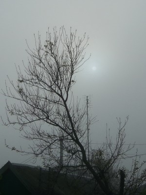 F 002.jpg