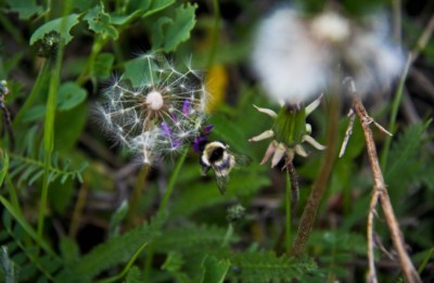 IMG_5729.jpg