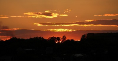 y_6e783233.jpg