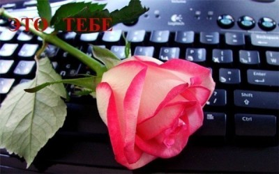 262a3078ef43[1][1].jpg