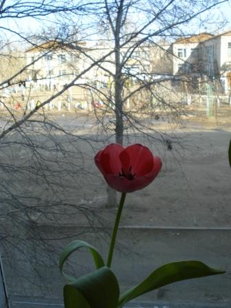 Копия DSC00354.jpg