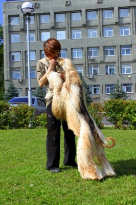 IMG_0746.jpg
