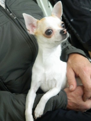 DSCN4661.jpg