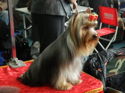 DSCN4724.jpg