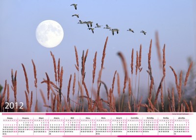 Календарь 10 горизонтальный 2012 А2.jpg