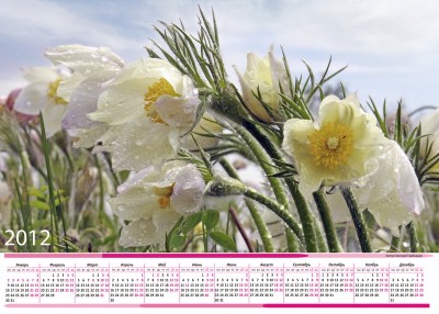 Календарь 20 горизонтальный 2012 А2.jpg