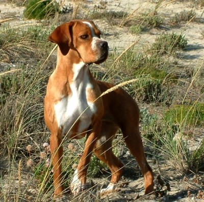 Foto7_1.JPG