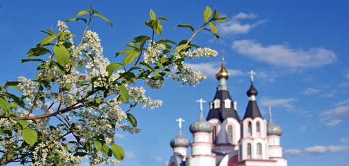 _сайт открытка MG_1631.jpg