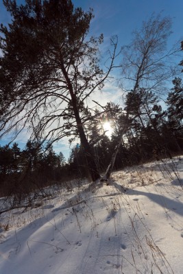 _MG_0152.jpg