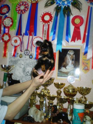 Копия P1010037.JPG