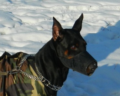 DSCN0035 Ян.jpg