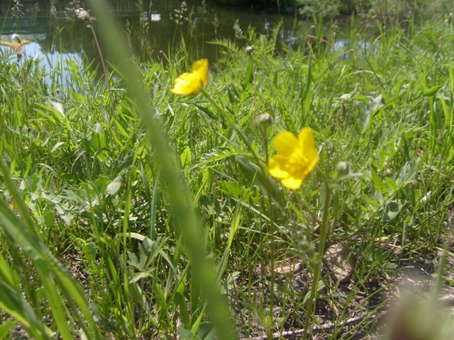 S6304959.JPG