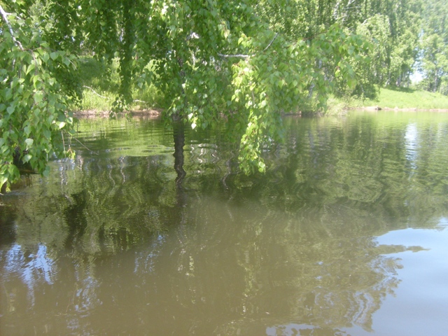 S6304970.JPG
