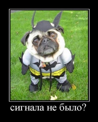 мопся НЛО.jpg
