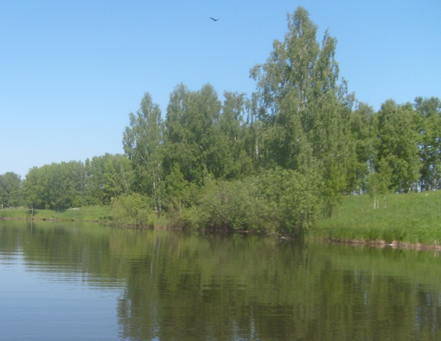 S6304976.JPG