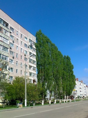 Фото0188.jpg