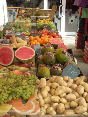 DSCN0331.JPG