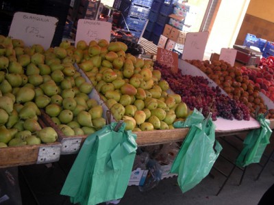 DSCN0333.JPG