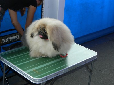DSCN7196.JPG